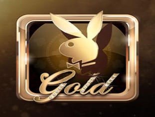 Playboy Gold game cover