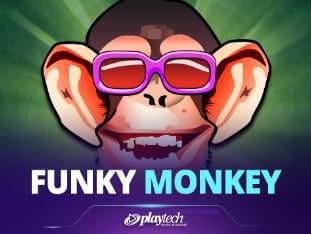 Funky Monkey game cover